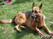 2017.09.17 - IV BIEG W KRAINIE KONWALII - CZĘŚĆ 4