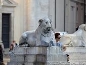 2014.08.23-30 - RZYM