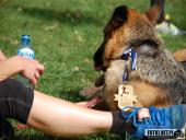 2017.09.17 - IV BIEG W KRAINIE KONWALII - CZĘŚĆ 4