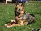 2017.09.17 - IV BIEG W KRAINIE KONWALII - CZĘŚĆ 4