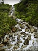 2014.06.28-07.06 - ZAKOPANE