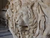 2014.08.23-30 - RZYM