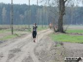 2018.04.15 - CHARYTATYWNY BIEG, MARSZ NORDIC WALKING CZ.3