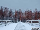 2025.02.15 - PORANNY SOBOTNI SPACER - WOLSZTYN