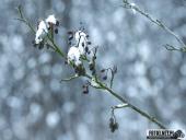 2025.02.15 - PORANNY SOBOTNI SPACER - WOLSZTYN