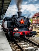 2025.04.12 - XI MARSZ KATYŃSKI WOLSZTYN