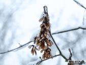 2025.02.15 - PORANNY SOBOTNI SPACER - WOLSZTYN