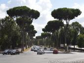 2014.08.23-30 - RZYM