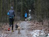 2017.02.18 - VII BIEG GÓRSKI LESZNO-GRZYBOWO