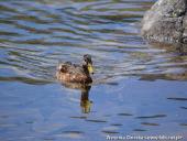 2014.06.28-07.06 - ZAKOPANE