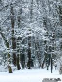 2025.02.15 - PORANNY SOBOTNI SPACER - WOLSZTYN