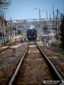 2025.04.12 - XI MARSZ KATYŃSKI WOLSZTYN