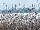 2025.02.15 - PORANNY SOBOTNI SPACER - WOLSZTYN