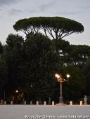 2014.08.23-30 - RZYM