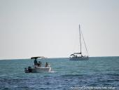 2014.08.23-30 - RZYM