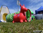 2024.04.29 – CHARYTATYWNY BIEG ORAZ FESTYN - część 1