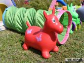 2024.04.29 – CHARYTATYWNY BIEG ORAZ FESTYN - część 1