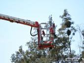 2024.04.29 – CHARYTATYWNY BIEG ORAZ FESTYN - część 1