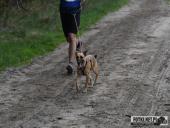 2022.04.22-23 - ULTRA CROSS GWiNT 2022 - cz. 6