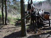 2019.03.24 - CHARYTATYWNY BIEG PO SZANSĘ DLA ADAMA - część 5 i 6