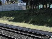 2024.04.06 - X MARSZ KATYŃSKI - WOLSZTYN