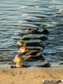 2025.08.26-27 - ZACHÓD I WSCHÓD SŁOŃCA NAD BAŁTYKIEM