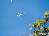 2024.09.24 - XXI OGÓLNOPOLSKI DZIEŃ PRZEDSZKOLAKA - ZAJAWKA