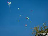 2024.09.24 - XXI OGÓLNOPOLSKI DZIEŃ PRZEDSZKOLAKA - ZAJAWKA