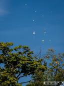 2024.09.24 - XXI OGÓLNOPOLSKI DZIEŃ PRZEDSZKOLAKA - ZAJAWKA