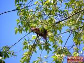 2016.05.06-07 - ULTRA CROSS GWiNT