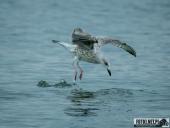 2025.08.26-27 - ZACHÓD I WSCHÓD SŁOŃCA NAD BAŁTYKIEM