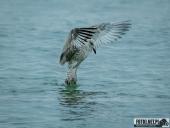 2025.08.26-27 - ZACHÓD I WSCHÓD SŁOŃCA NAD BAŁTYKIEM