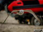 2025.08.26-27 - ZACHÓD I WSCHÓD SŁOŃCA NAD BAŁTYKIEM