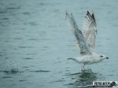 2025.08.26-27 - ZACHÓD I WSCHÓD SŁOŃCA NAD BAŁTYKIEM