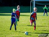 2024.09.29 - TURNIEJ W TUCHORZY - ROCZNIK 2017/2018 ŻAK F2