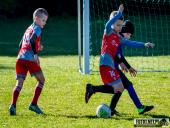 2024.09.29 - TURNIEJ W TUCHORZY - ROCZNIK 2017/2018 ŻAK F2