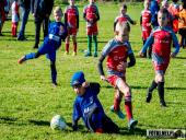 2024.09.29 - TURNIEJ W TUCHORZY - ROCZNIK 2017/2018 ŻAK F2