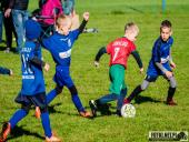 2024.09.29 - TURNIEJ W TUCHORZY - ROCZNIK 2017/2018 ŻAK F2