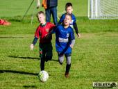 2024.09.29 - TURNIEJ W TUCHORZY - ROCZNIK 2017/2018 ŻAK F2