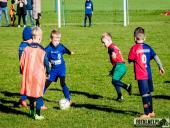 2024.09.29 - TURNIEJ W TUCHORZY - ROCZNIK 2017/2018 ŻAK F2