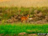 2025.06.15 - OKOLICE OBRY