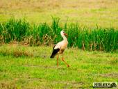 2025.06.15 - OKOLICE OBRY