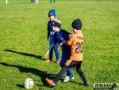 2024.09.29 - TURNIEJ W TUCHORZY - ROCZNIK 2017/2018 ŻAK F2