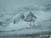 2025.08.26-27 - ZACHÓD I WSCHÓD SŁOŃCA NAD BAŁTYKIEM