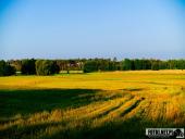 2025.06.15 - OKOLICE OBRY