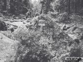 2024.08.11 – WĘDRÓWKA NA ŚNIEŻNE KOTŁY