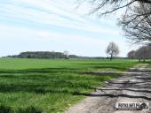 2022.04.24 - BIEG CHARYTATYWNY PO LEPSZE JUTRO DLA MARYSI I ANTOSIA - cz. 1