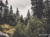 2024.08.11 – WĘDRÓWKA NA ŚNIEŻNE KOTŁY