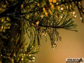 2025.06.27 - PIĄTKOWY PORANEK