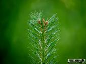 2025.06.27 - PIĄTKOWY PORANEK